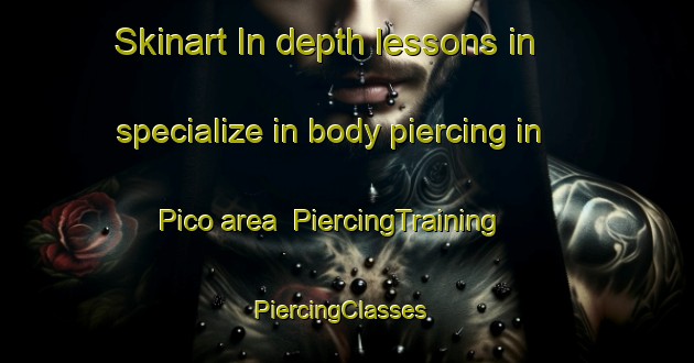 Skinart In-depth lessons in specialize in body piercing in Pico area | PiercingTraining | PiercingClasses | SkinartTraining-United States