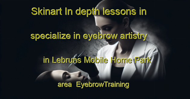 Skinart In-depth lessons in specialize in eyebrow artistry in Lebruns Mobile Home Park area | EyebrowTraining | EyebrowClasses | SkinartTraining-United States
