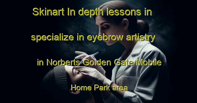 Skinart In-depth lessons in specialize in eyebrow artistry in Norberts Golden Gate Mobile Home Park area | EyebrowTraining | EyebrowClasses | SkinartTraining-United States