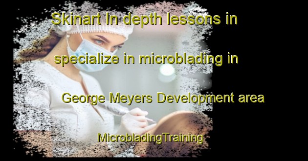 Skinart In-depth lessons in specialize in microblading in George Meyers Development area | MicrobladingTraining | MicrobladingClasses | SkinartTraining-United States