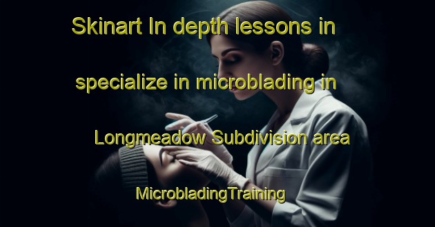 Skinart In-depth lessons in specialize in microblading in Longmeadow Subdivision area | MicrobladingTraining | MicrobladingClasses | SkinartTraining-United States