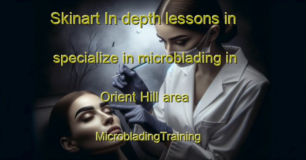 Skinart In-depth lessons in specialize in microblading in Orient Hill area | MicrobladingTraining | MicrobladingClasses | SkinartTraining-United States