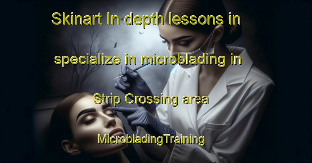Skinart In-depth lessons in specialize in microblading in Strip Crossing area | MicrobladingTraining | MicrobladingClasses | SkinartTraining-United States