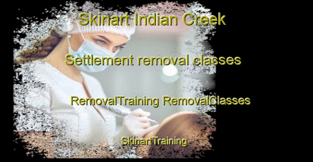 Skinart Indian Creek Settlement removal classes | #RemovalTraining #RemovalClasses #SkinartTraining-United States