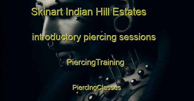 Skinart Indian Hill Estates introductory piercing sessions | #PiercingTraining #PiercingClasses #SkinartTraining-United States