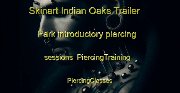 Skinart Indian Oaks Trailer Park introductory piercing sessions | #PiercingTraining #PiercingClasses #SkinartTraining-United States