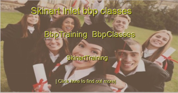 Skinart Inlet bbp classes | BbpTraining | BbpClasses | SkinartTraining-United States
