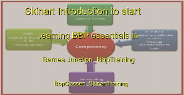 Skinart Introduction to start learning BBP essentials in Barnes Junction | BbpTraining | BbpClasses | SkinartTraining-United States