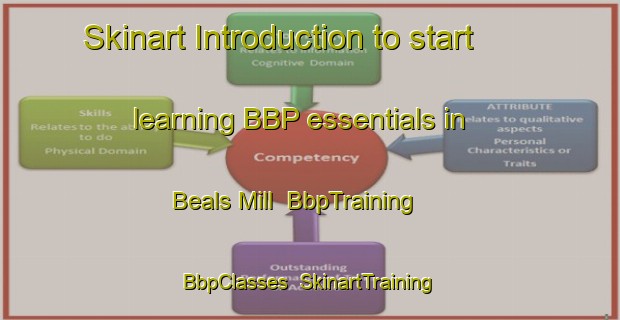 Skinart Introduction to start learning BBP essentials in Beals Mill | BbpTraining | BbpClasses | SkinartTraining-United States
