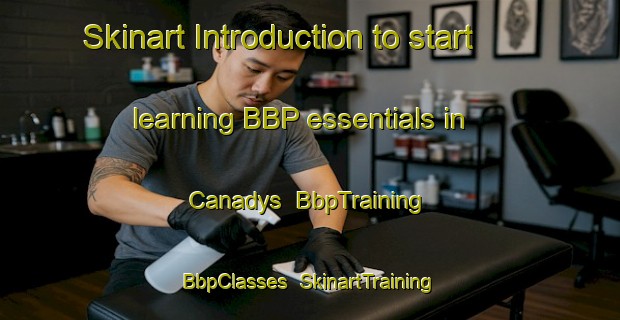 Skinart Introduction to start learning BBP essentials in Canadys | BbpTraining | BbpClasses | SkinartTraining-United States