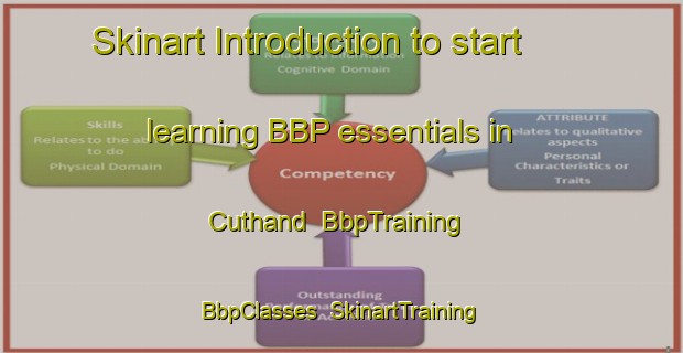 Skinart Introduction to start learning BBP essentials in Cuthand | BbpTraining | BbpClasses | SkinartTraining-United States