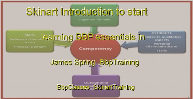 Skinart Introduction to start learning BBP essentials in James Spring | BbpTraining | BbpClasses | SkinartTraining-United States