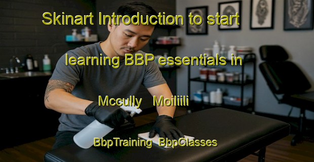 Skinart Introduction to start learning BBP essentials in Mccully   Moiliili | BbpTraining | BbpClasses | SkinartTraining-United States