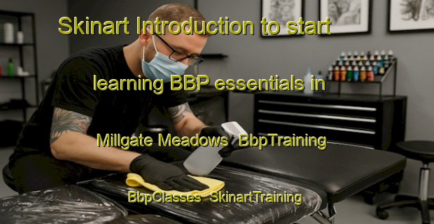 Skinart Introduction to start learning BBP essentials in Millgate Meadows | BbpTraining | BbpClasses | SkinartTraining-United States
