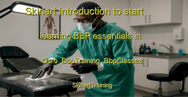 Skinart Introduction to start learning BBP essentials in Osro | BbpTraining | BbpClasses | SkinartTraining-United States
