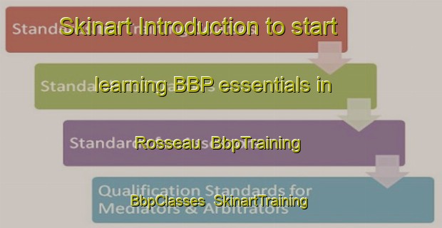 Skinart Introduction to start learning BBP essentials in Rosseau | BbpTraining | BbpClasses | SkinartTraining-United States
