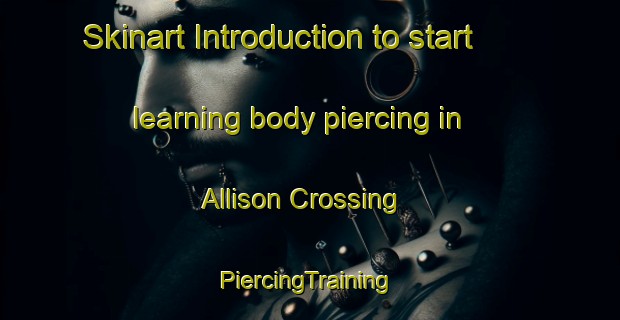 Skinart Introduction to start learning body piercing in Allison Crossing | #PiercingTraining #PiercingClasses #SkinartTraining-United States