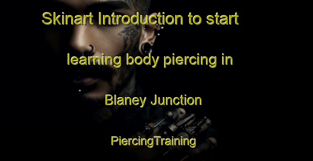 Skinart Introduction to start learning body piercing in Blaney Junction | #PiercingTraining #PiercingClasses #SkinartTraining-United States