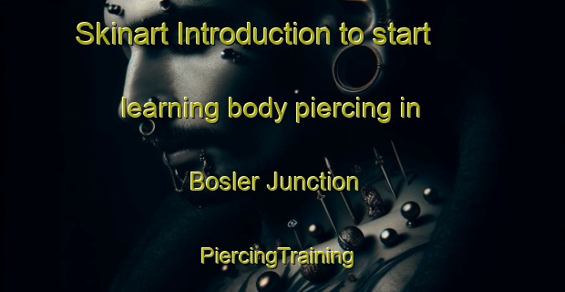 Skinart Introduction to start learning body piercing in Bosler Junction | #PiercingTraining #PiercingClasses #SkinartTraining-United States