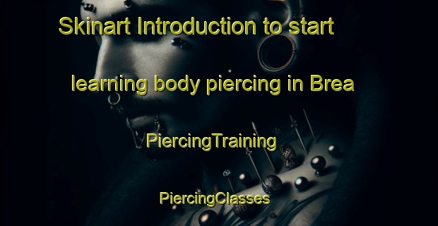 Skinart Introduction to start learning body piercing in Brea | PiercingTraining | PiercingClasses | SkinartTraining-United States