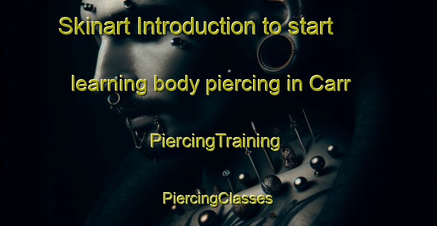 Skinart Introduction to start learning body piercing in Carr | #PiercingTraining #PiercingClasses #SkinartTraining-United States