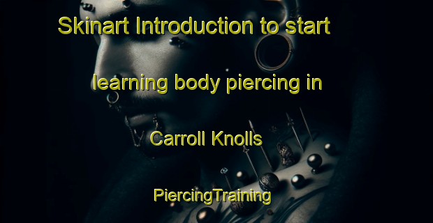 Skinart Introduction to start learning body piercing in Carroll Knolls | #PiercingTraining #PiercingClasses #SkinartTraining-United States