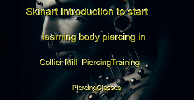 Skinart Introduction to start learning body piercing in Collier Mill | #PiercingTraining #PiercingClasses #SkinartTraining-United States