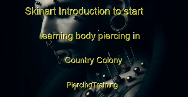 Skinart Introduction to start learning body piercing in Country Colony | #PiercingTraining #PiercingClasses #SkinartTraining-United States