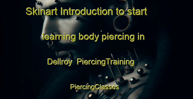 Skinart Introduction to start learning body piercing in Dellroy | PiercingTraining | PiercingClasses | SkinartTraining-United States