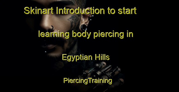 Skinart Introduction to start learning body piercing in Egyptian Hills | #PiercingTraining #PiercingClasses #SkinartTraining-United States