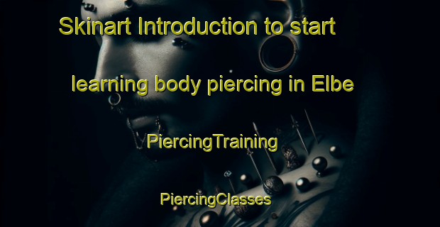 Skinart Introduction to start learning body piercing in Elbe | PiercingTraining | PiercingClasses | SkinartTraining-United States