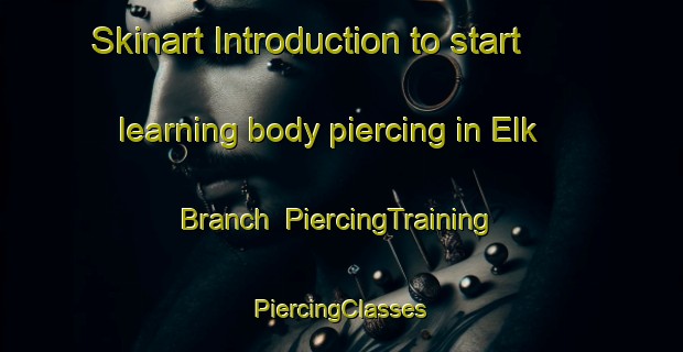 Skinart Introduction to start learning body piercing in Elk Branch | #PiercingTraining #PiercingClasses #SkinartTraining-United States