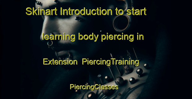 Skinart Introduction to start learning body piercing in Extension | PiercingTraining | PiercingClasses | SkinartTraining-United States