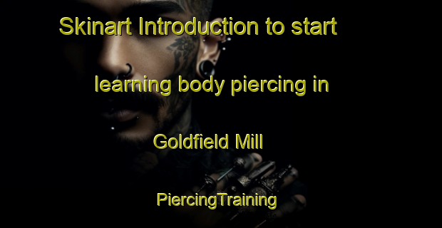 Skinart Introduction to start learning body piercing in Goldfield Mill | #PiercingTraining #PiercingClasses #SkinartTraining-United States