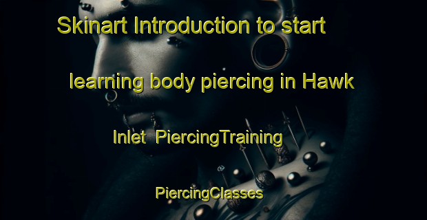 Skinart Introduction to start learning body piercing in Hawk Inlet | PiercingTraining | PiercingClasses | SkinartTraining-United States
