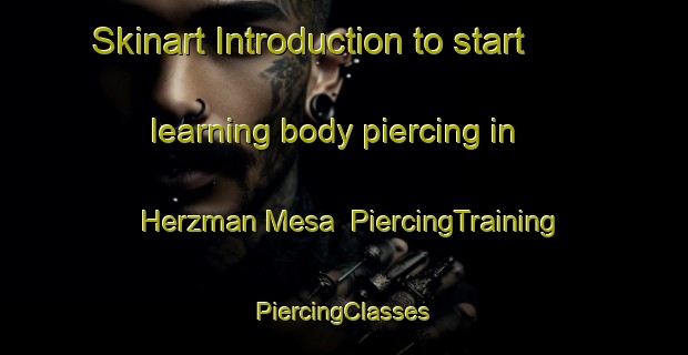 Skinart Introduction to start learning body piercing in Herzman Mesa | #PiercingTraining #PiercingClasses #SkinartTraining-United States