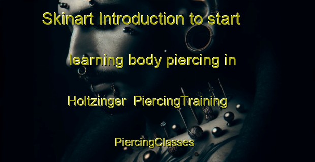 Skinart Introduction to start learning body piercing in Holtzinger | PiercingTraining | PiercingClasses | SkinartTraining-United States