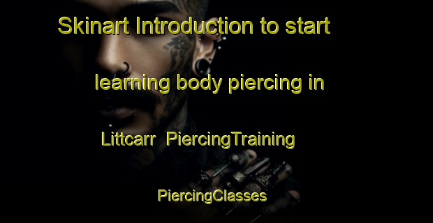 Skinart Introduction to start learning body piercing in Littcarr | PiercingTraining | PiercingClasses | SkinartTraining-United States