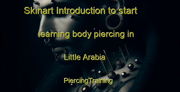 Skinart Introduction to start learning body piercing in Little Arabia | #PiercingTraining #PiercingClasses #SkinartTraining-United States