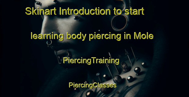 Skinart Introduction to start learning body piercing in Mole | PiercingTraining | PiercingClasses | SkinartTraining-United States