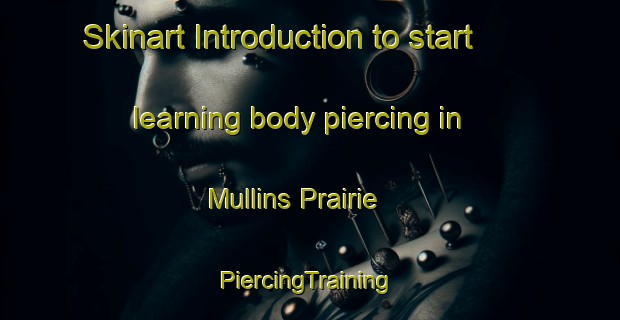 Skinart Introduction to start learning body piercing in Mullins Prairie | #PiercingTraining #PiercingClasses #SkinartTraining-United States