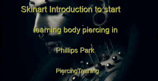 Skinart Introduction to start learning body piercing in Phillips Park | #PiercingTraining #PiercingClasses #SkinartTraining-United States