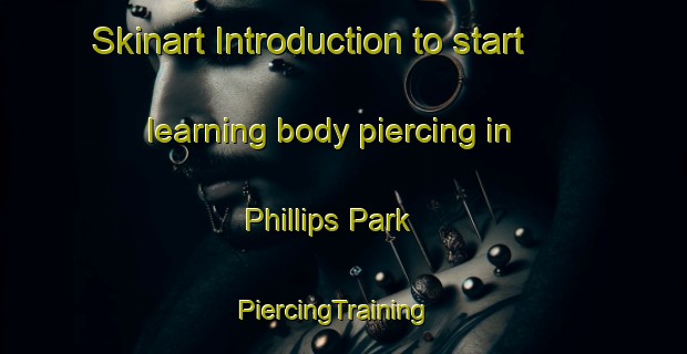 Skinart Introduction to start learning body piercing in Phillips Park | PiercingTraining | PiercingClasses | SkinartTraining-United States