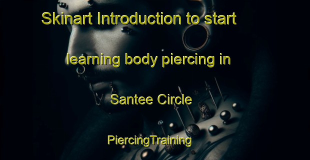 Skinart Introduction to start learning body piercing in Santee Circle | PiercingTraining | PiercingClasses | SkinartTraining-United States
