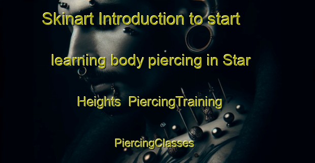 Skinart Introduction to start learning body piercing in Star Heights | PiercingTraining | PiercingClasses | SkinartTraining-United States