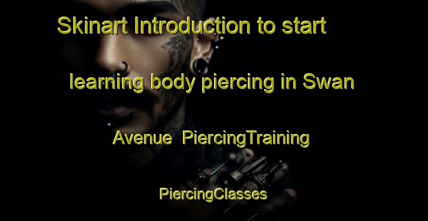 Skinart Introduction to start learning body piercing in Swan Avenue | #PiercingTraining #PiercingClasses #SkinartTraining-United States