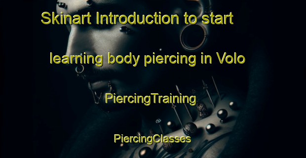 Skinart Introduction to start learning body piercing in Volo | #PiercingTraining #PiercingClasses #SkinartTraining-United States