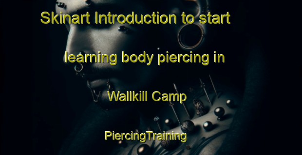 Skinart Introduction to start learning body piercing in Wallkill Camp | PiercingTraining | PiercingClasses | SkinartTraining-United States
