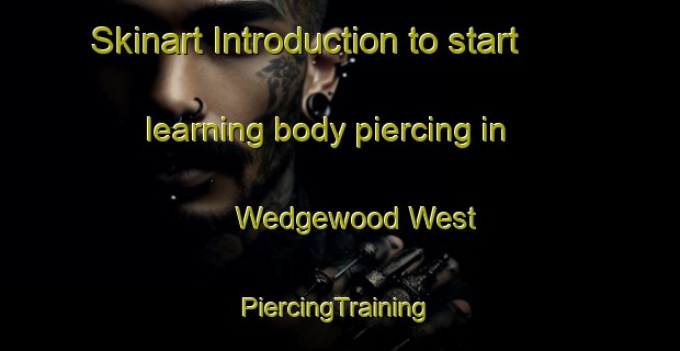 Skinart Introduction to start learning body piercing in Wedgewood West | #PiercingTraining #PiercingClasses #SkinartTraining-United States