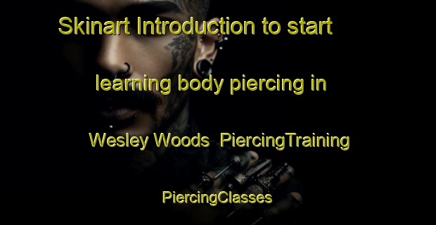 Skinart Introduction to start learning body piercing in Wesley Woods | #PiercingTraining #PiercingClasses #SkinartTraining-United States